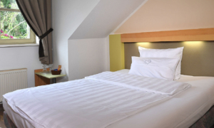 EZ-Slider_21_Landhotel-Schnuck-0619-028_ec494b0cda Einzelbett unter Dachschräge mit Fensterblick