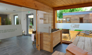 Blick vom Innenbereich durch Glas auf Garten und Liegen