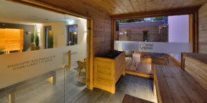 Blick aus Sauna mit Glaswand auf den Außenbereich