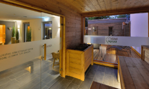 Blick aus Sauna mit Glaswand auf den Außenbereich