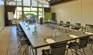 Konferenzraum mit großen Fenstern, die viel Tageslicht hereinlassen. Zwei lange Tische stehen in U-Form, darauf befinden sich Wasserflaschen, Gläser, grüne Äpfel und Schreibutensilien. Schwarze Stühle sind an den Tischen aufgereiht. Im Hintergrund sind ein Flipchart mit beschriftetem Papier, eine grüne Trennwand und ein Blick ins Freie zu sehen. Der Raum wirkt modern und aufgeräumt.
