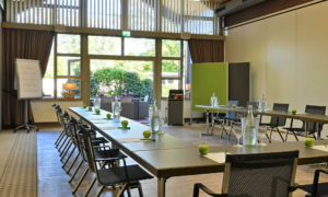 Konferenzraum mit großen Fenstern, offenen Türen und Blick ins Grüne. Zwei lange Tische stehen in U-Form, darauf stehen Wasserkaraffen, Gläser und grüne Äpfel. Schwarze Stühle sind um die Tische gruppiert. Im Hintergrund befindet sich ein Flipchart mit beschriftetem Papier, daneben eine grüne Trennwand. Die Decke ist hoch und mit Holzbalken versehen, Tageslicht fällt durch die Fenster.